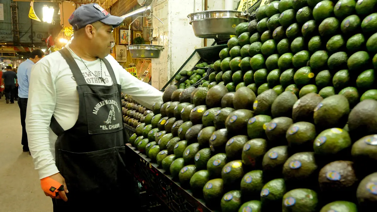 PRODUCTOS DEL CAMPO